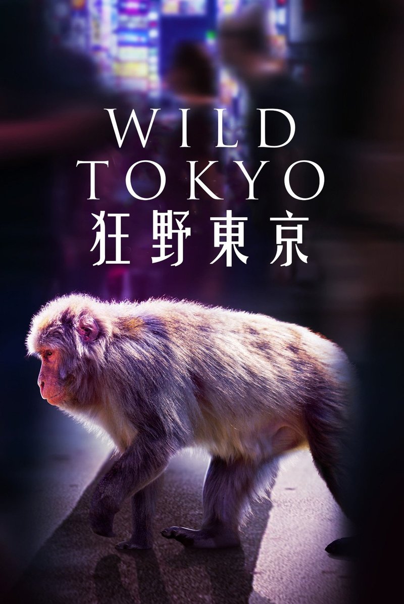 Migliore wild tokyo casino online a Italy